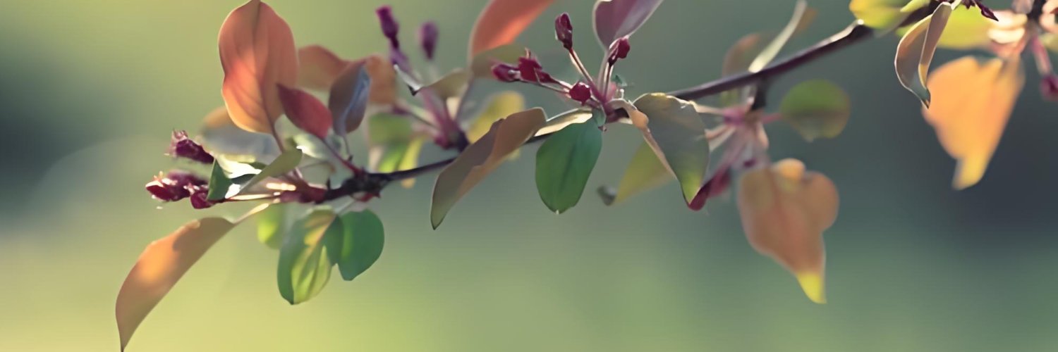 BeNiight69's profile banner image