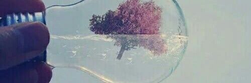 hanen8822's profile banner image