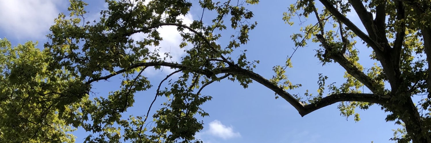 evacencillo's profile banner image