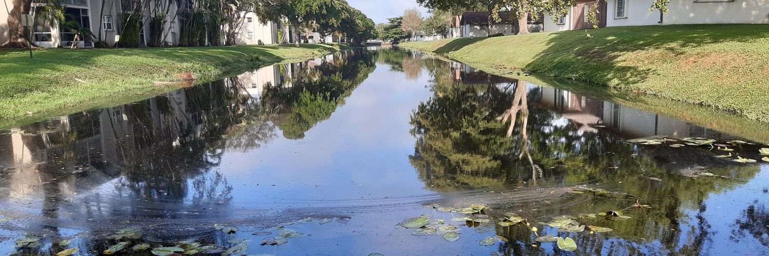 Heather Barone 🎺🎺🏴󠁧󠁢󠁷󠁬󠁳󠁿🇺🇲🎶 banner