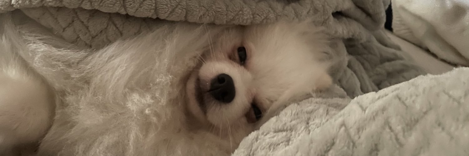 yuriicn's profile banner image