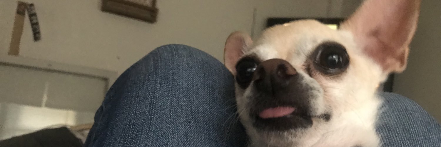katelynfeels's profile banner image