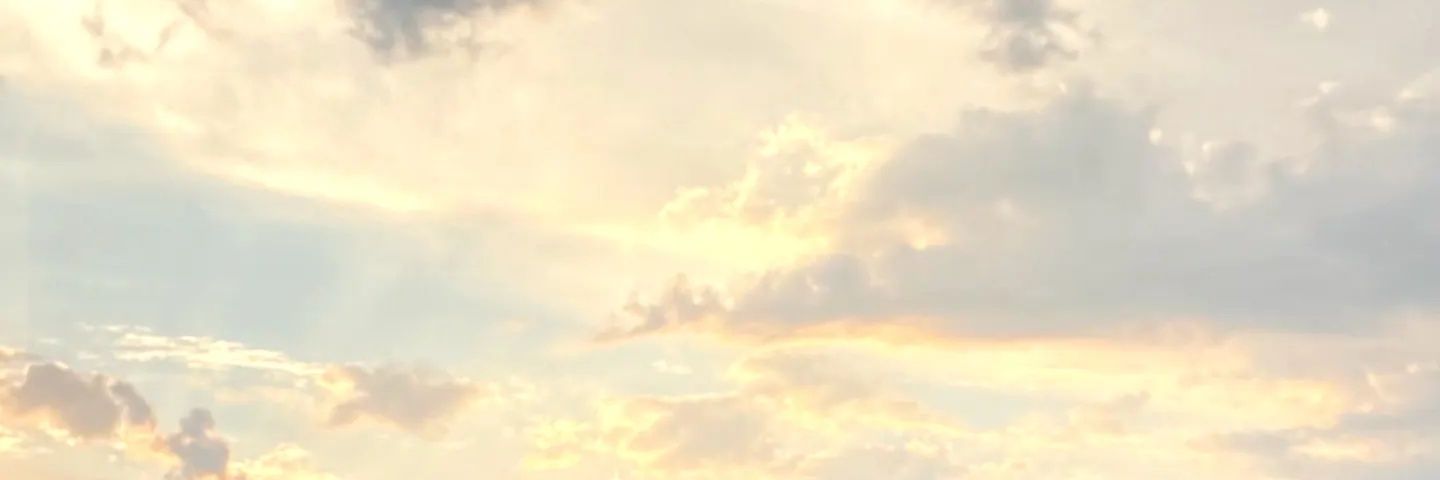 hafi banner