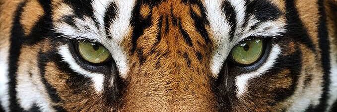 mutluklnc's profile banner image