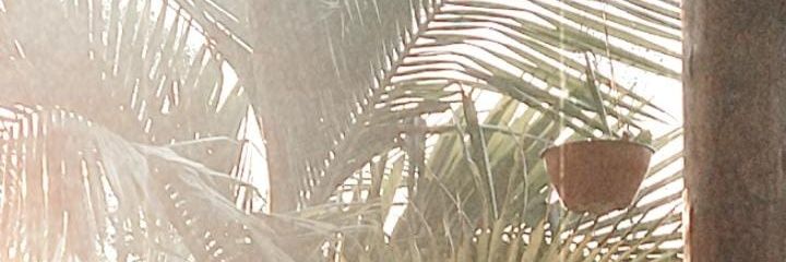 despezim's profile banner image