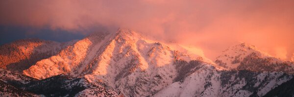 heidiburton Profile Banner