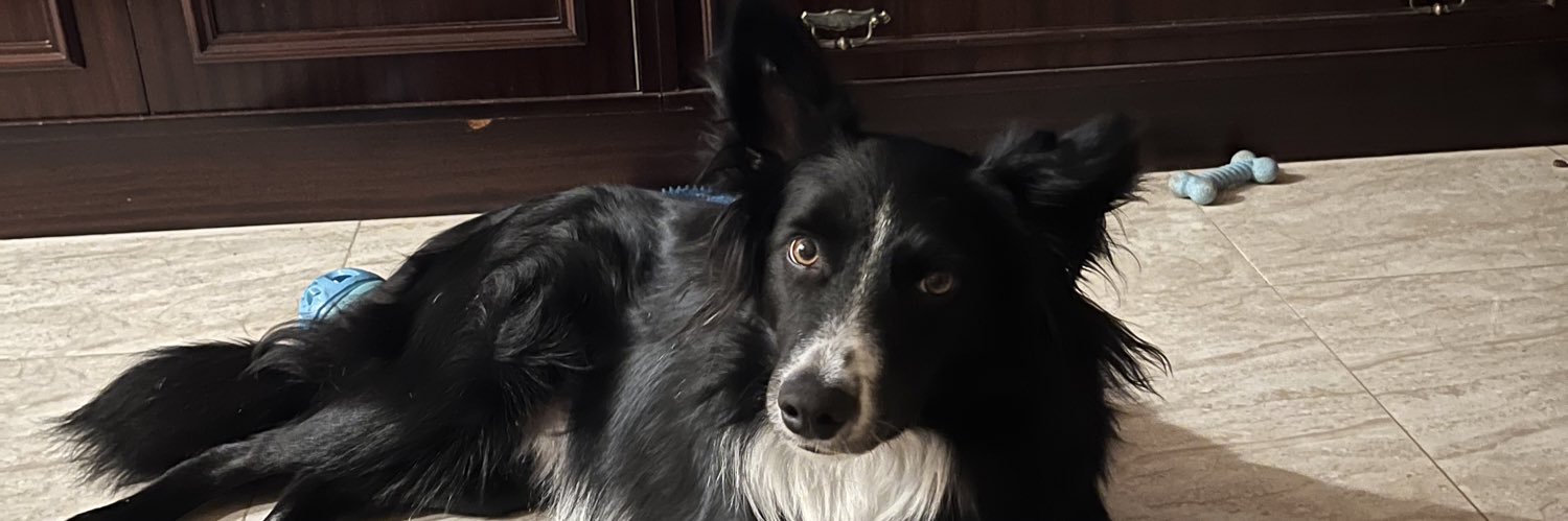 Rubentor9's profile banner image