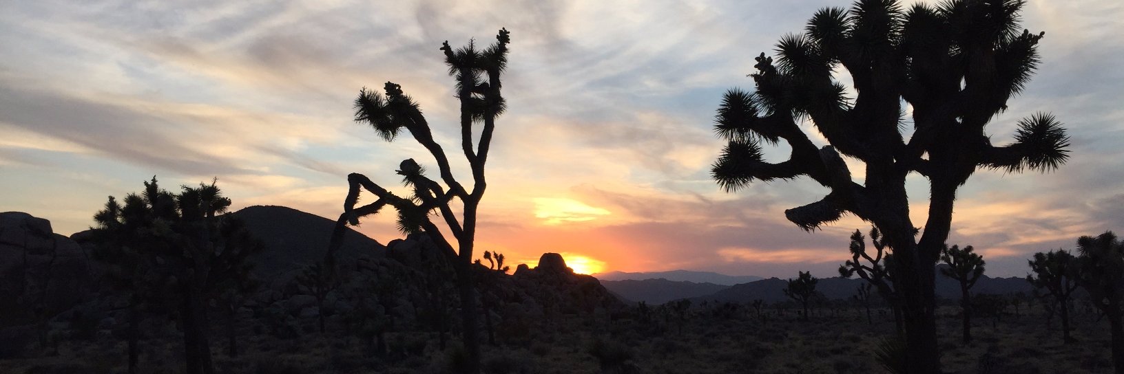 Marc-André Mongrain banner