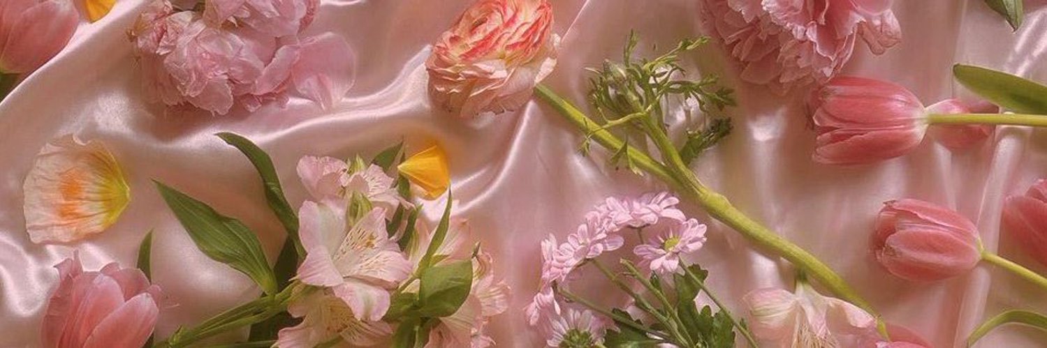 nosillaxo's profile banner image