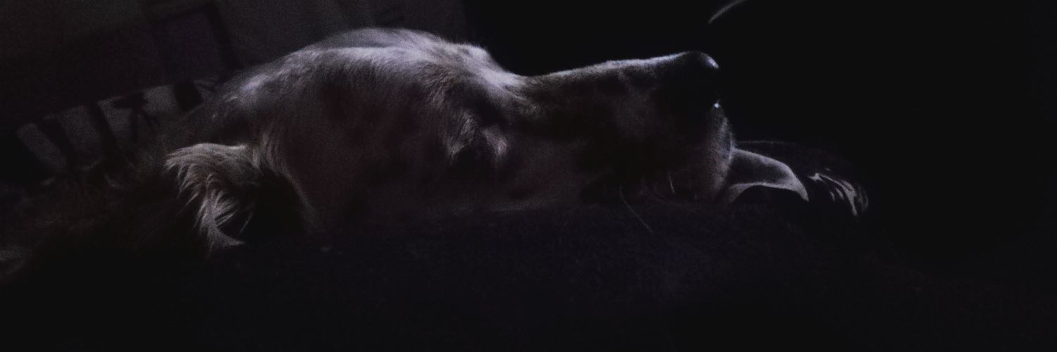 Vir_9_4's profile banner image