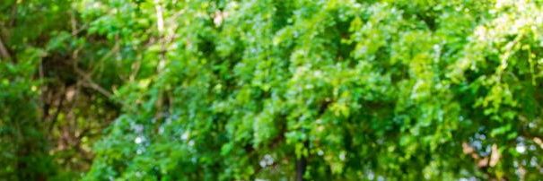 ewura_sam's profile banner image