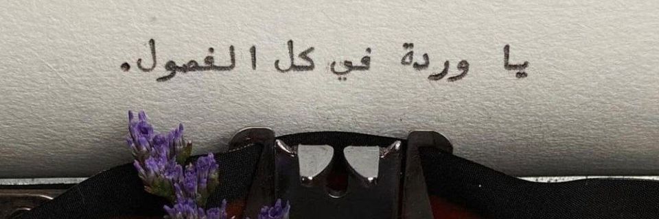 en166zl's profile banner image