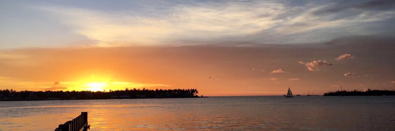 SofiaCJaramillo's profile banner image