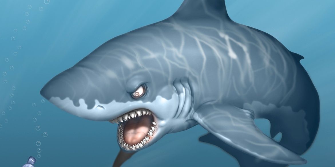 TShark4's profile banner image