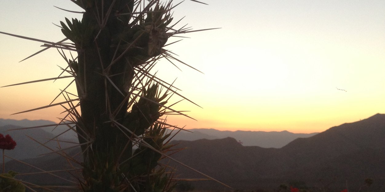 B_Coors's profile banner image