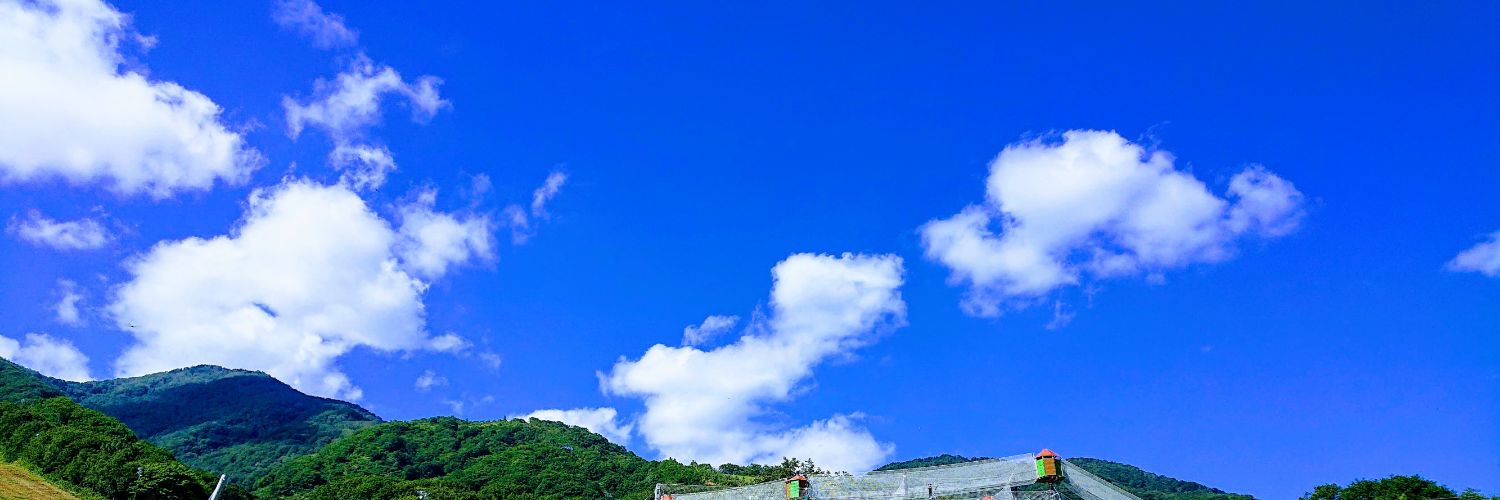 もぎねこ banner