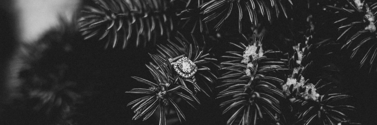 katiemountain's profile banner image