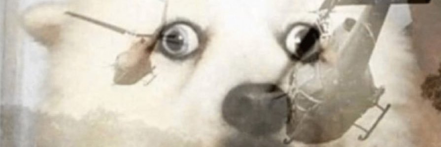 _Oibaf_'s profile banner image