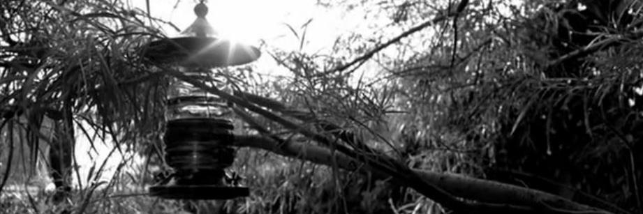 JoeDestruction's profile banner image