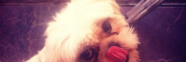 AlfonsoAlba_ Profile Banner