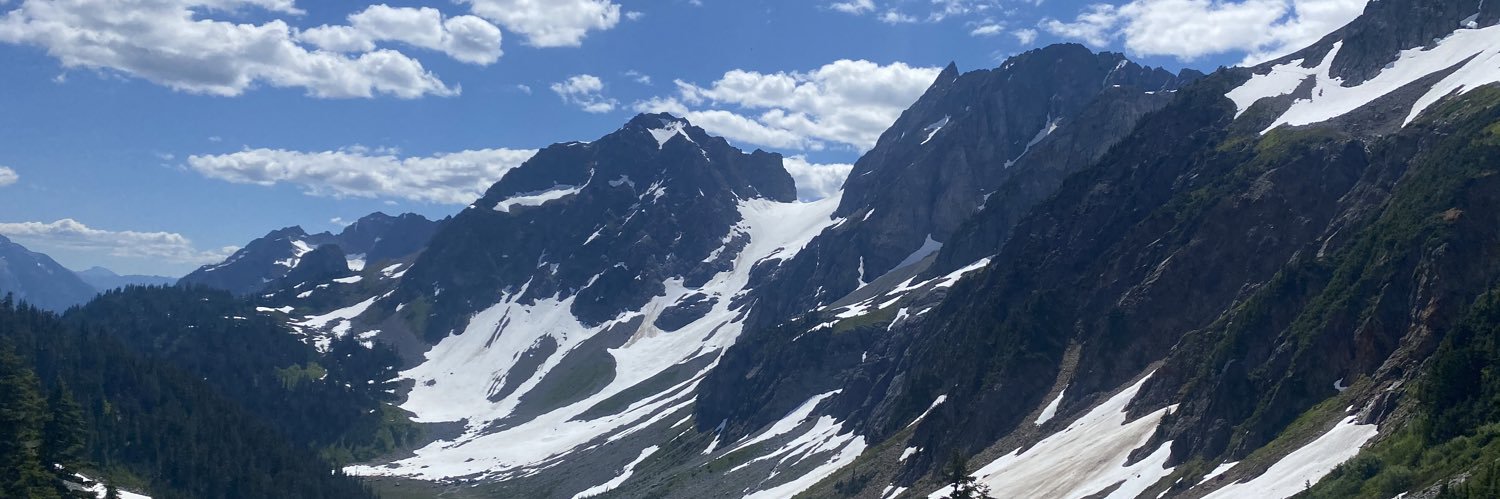 Scott banner