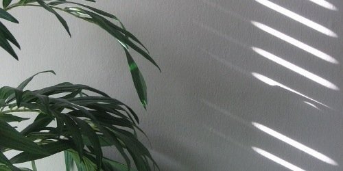 iamspeakingg's profile banner image