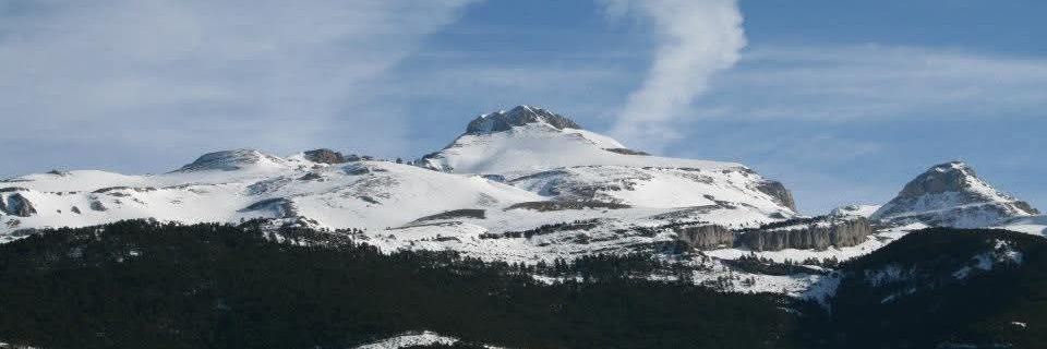Guillermo Lozano/✊🌹❤ banner