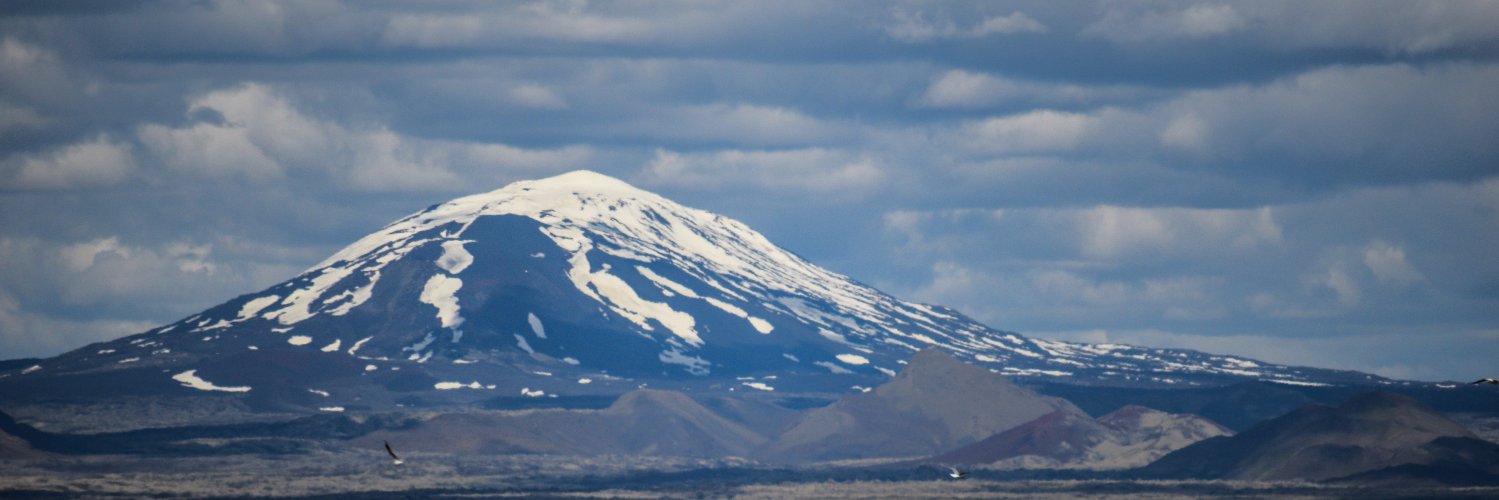 Daníel Freyr 🇺🇦 banner