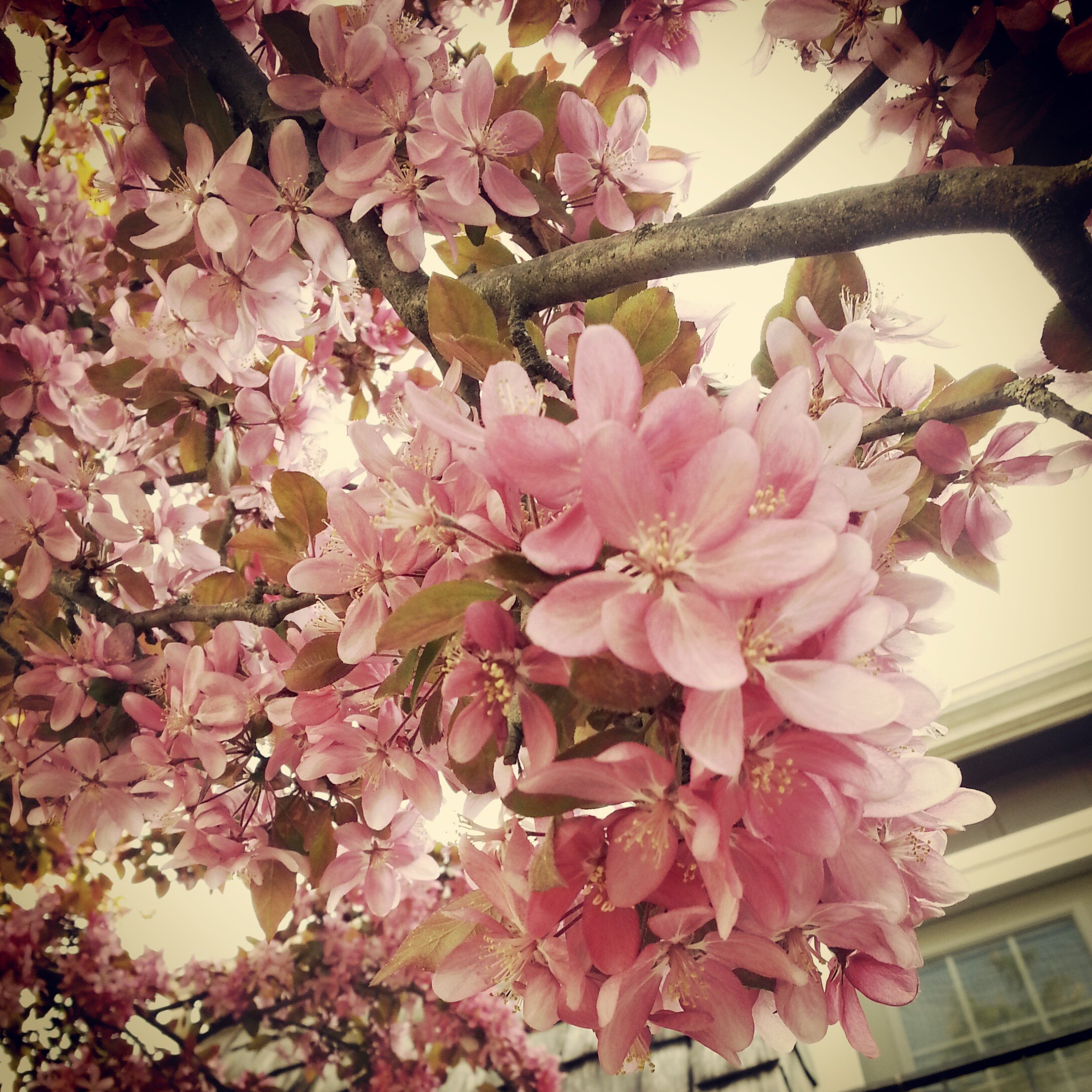 Magw's profile banner image