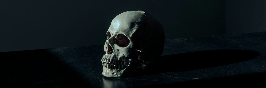 CarlosRezdan's profile banner image