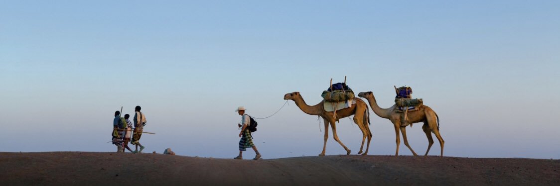 Sasha 🐪 ⛺️ 🌴 banner