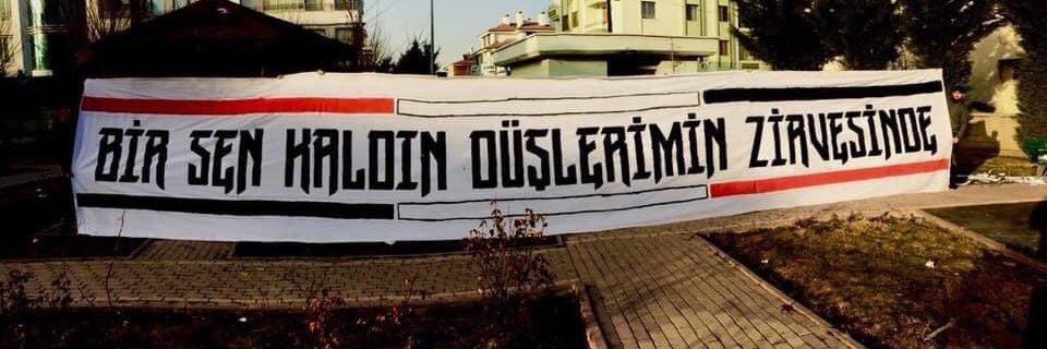 selmapolatt99's profile banner image