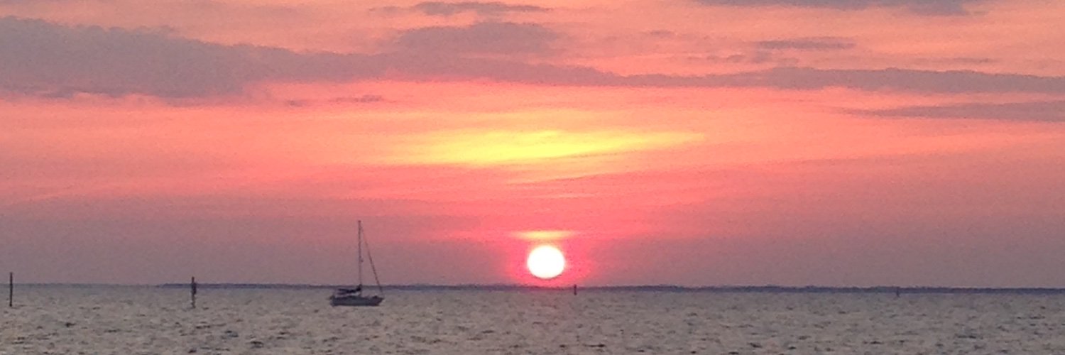 BellaSWFL's profile banner image
