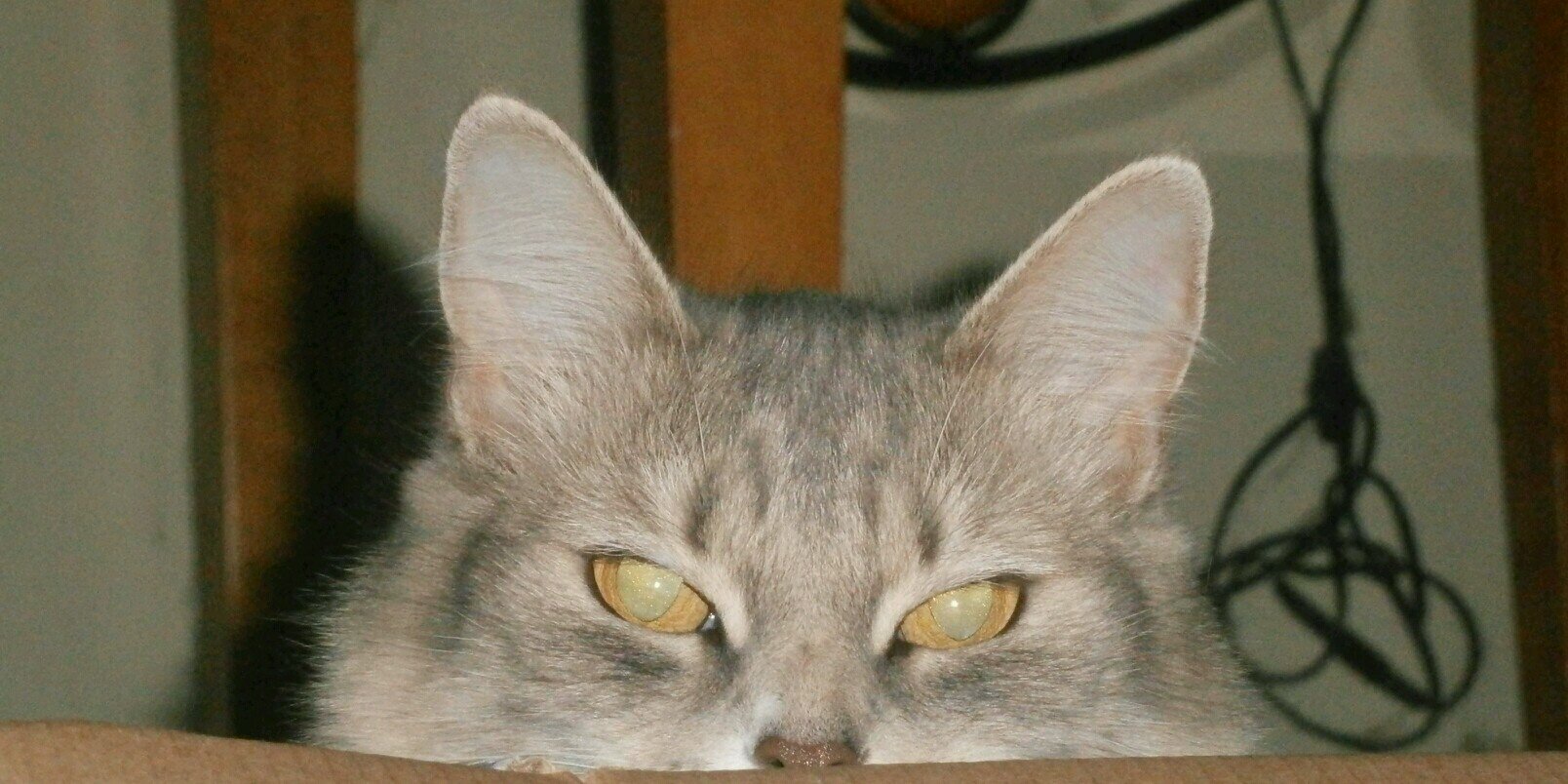 Klinge26's profile banner image