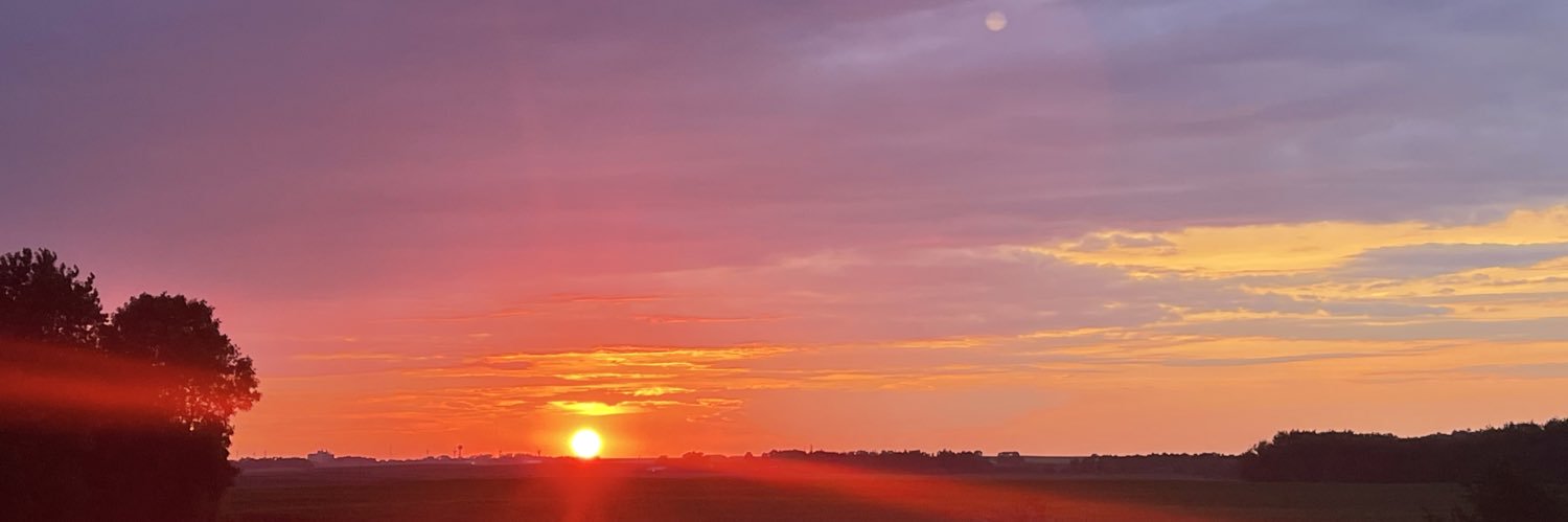 muellerstrong's profile banner image