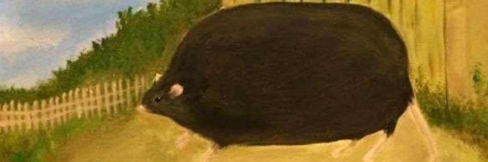 nowsoonishow's profile banner image