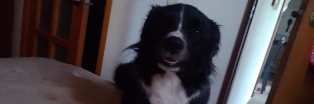 Estefany Tabares banner