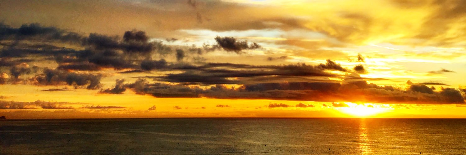 br1bert's profile banner image