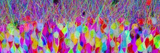 Maria__delai's profile banner image