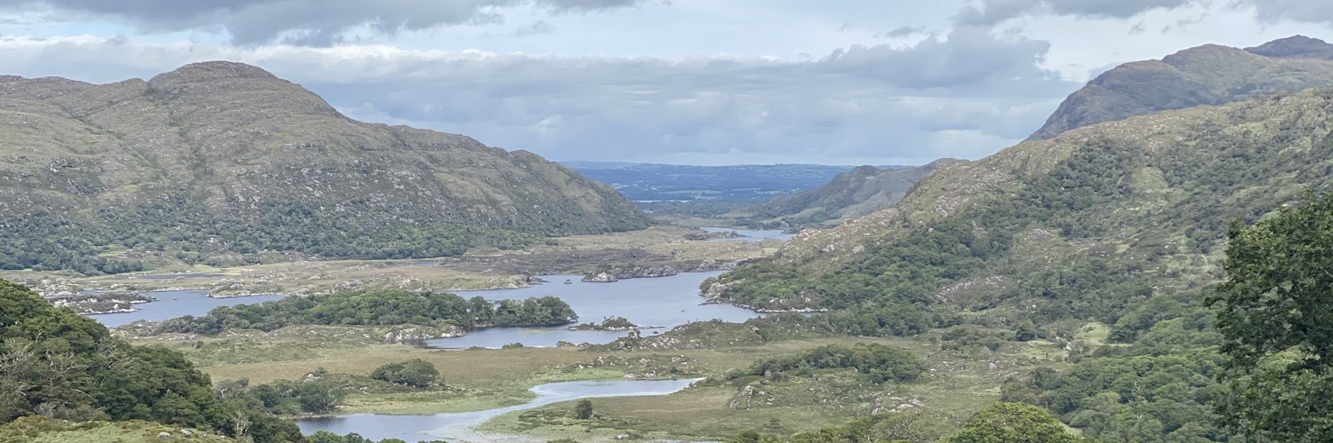 Kate McCarthy banner