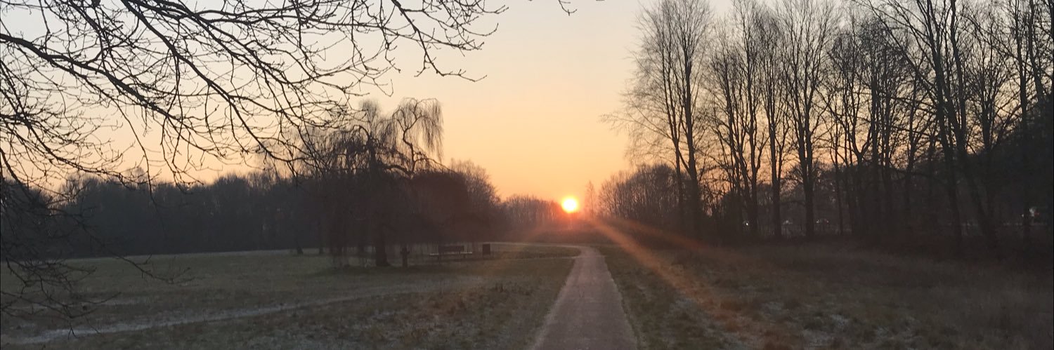 DVarekamp's profile banner image