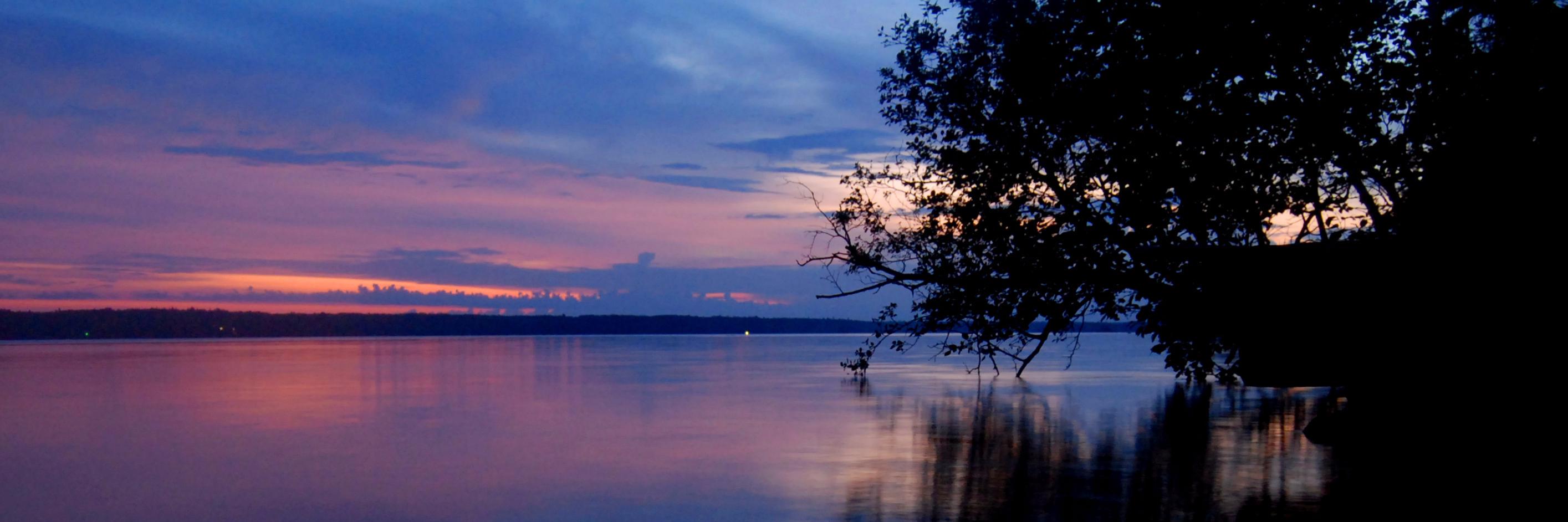 Doug_McF's profile banner image