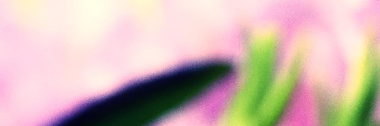 cherrytree555's profile banner image