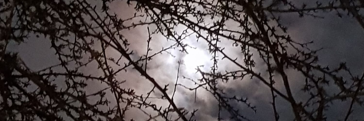 ymkje73's profile banner image