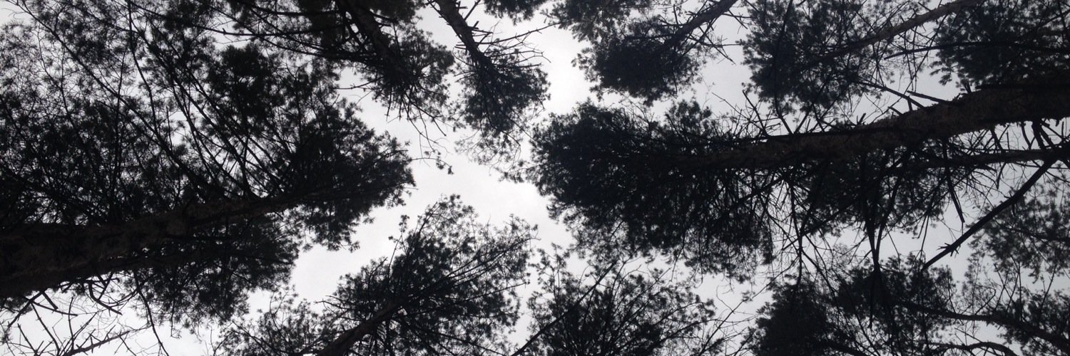 shipowpowski's profile banner image