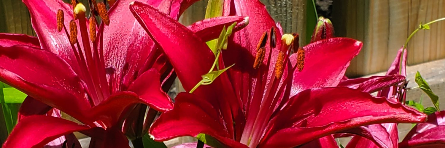 K_R_Stephens's profile banner image