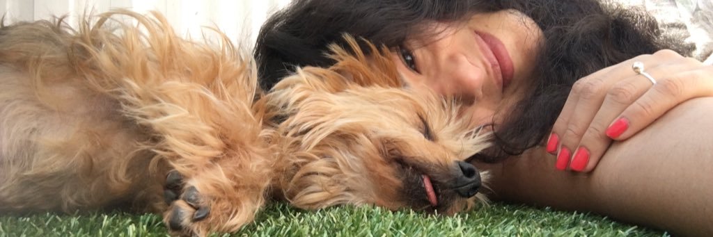 Paito_ps's profile banner image