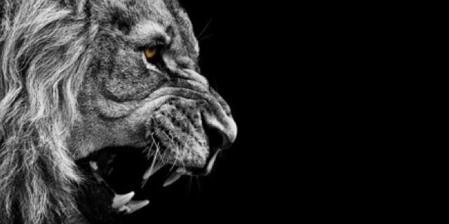 Savage_Elite's profile banner image