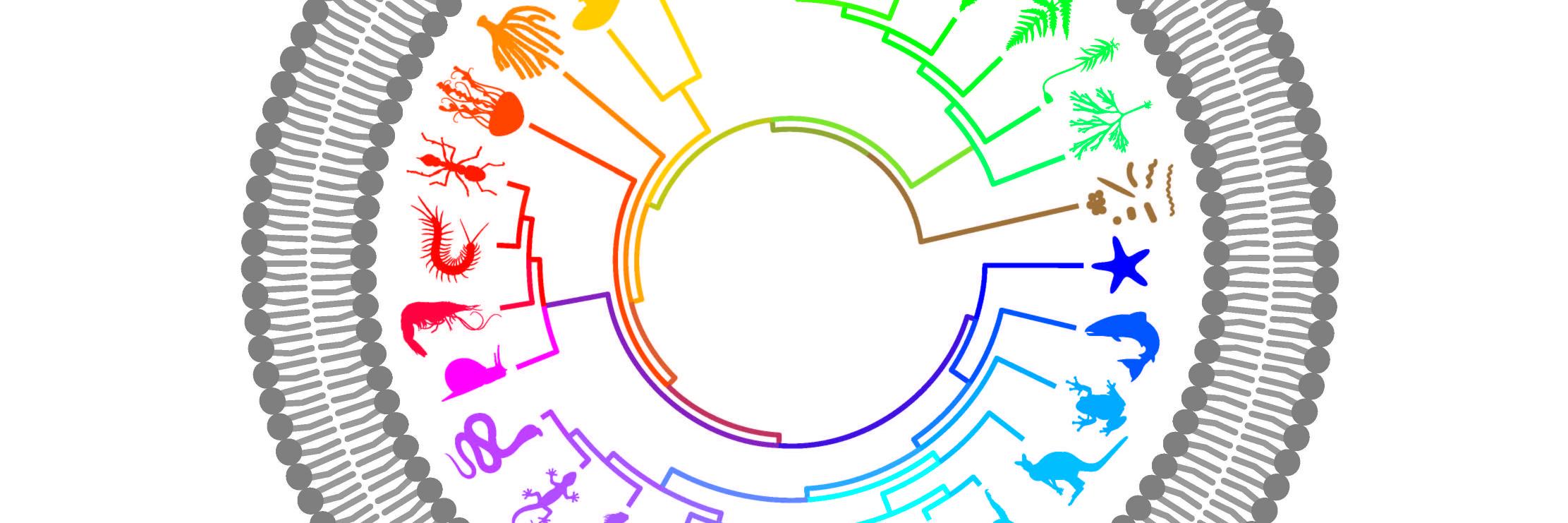 JM_biotech's profile banner image