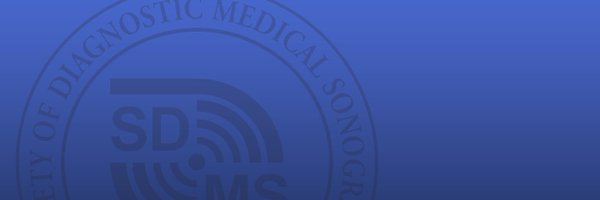 TheSDMS Profile Banner